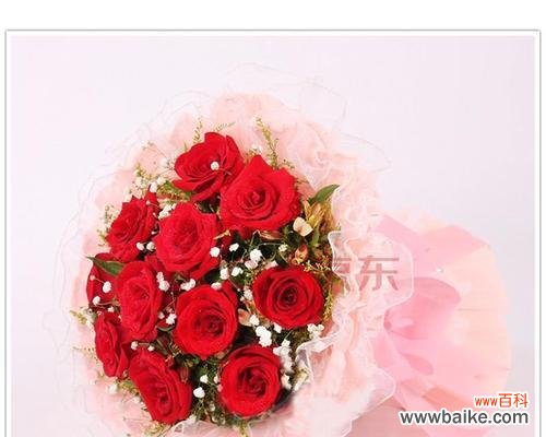 花语的美丽意义 11朵玫瑰花语大全——每朵代表的意思