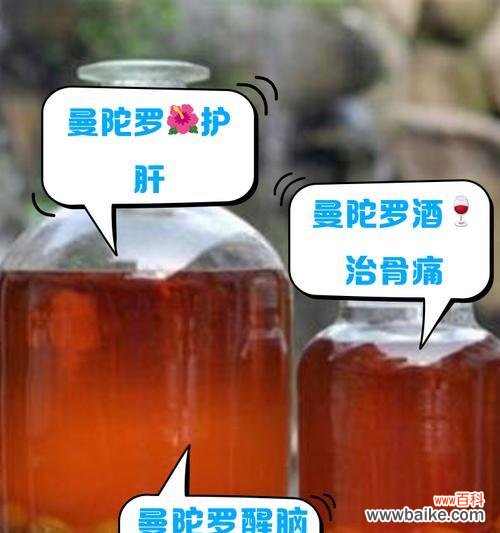 植物泡和植物泡酒什么意思？植物泡酒的制作与功效？