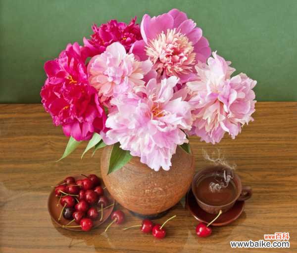 芍药有毒吗,芍药可以在室内养吗