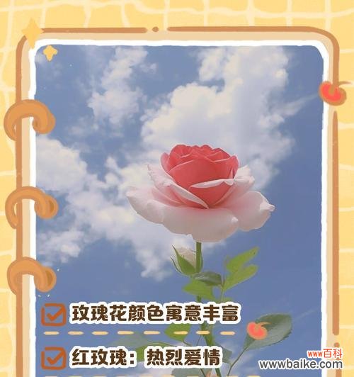 陌生女生送玫瑰花有何含义?这种行为背后可能隐藏什么信息?