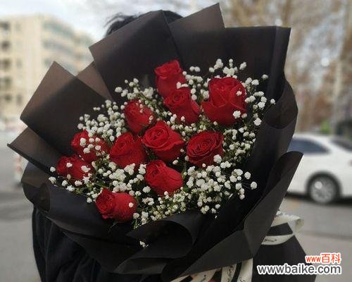 粉色玫瑰搭配满天星的花束有何特别含义？