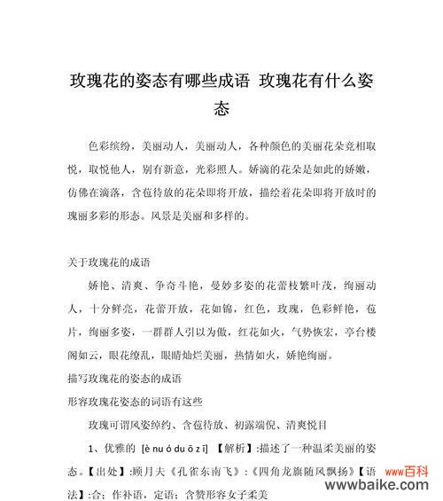 不同数量的玫瑰花各自有何含义？