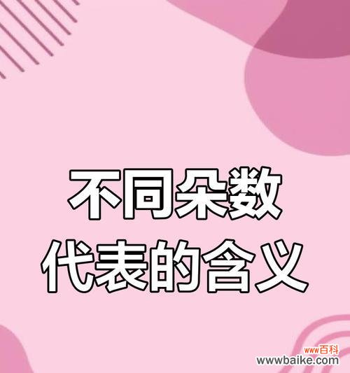 不同数量的玫瑰花各自有何含义？