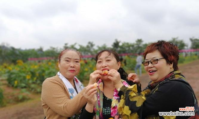 百合练柔道在花语中代表什么？