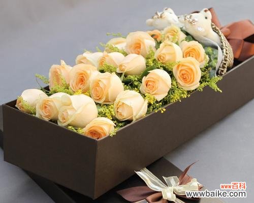用花言巧语表达爱意，情人节送19朵香槟色玫瑰！ 19朵香槟色玫瑰的花语