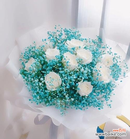 棺木上放白玫瑰代表什么含义？