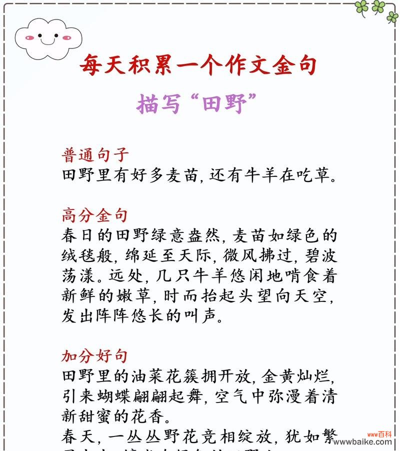 “就像田野间的花卉”这句话是什么意思?如何理解这句话的深层含义?