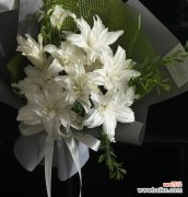 灯笼百合的寓意和花语是什么？它象征着什么？