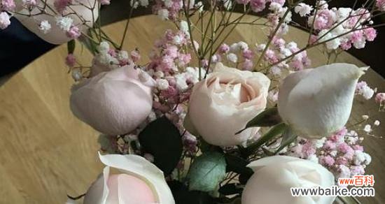 解读玫瑰花的神秘语言 十一朵粉色玫瑰花的含义