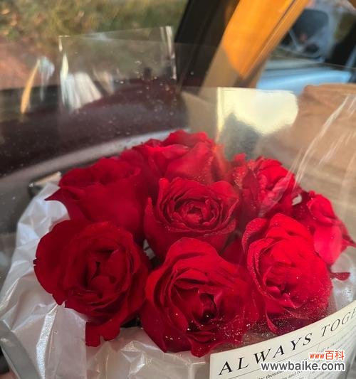 前任送玫瑰花的合适选择是什么？