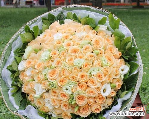 香槟玫瑰的花语是什么？香槟玫瑰代表什么？