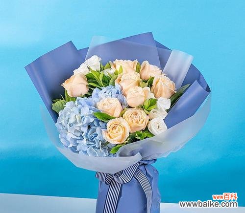 香槟玫瑰与白玫瑰组合的花语是什么?