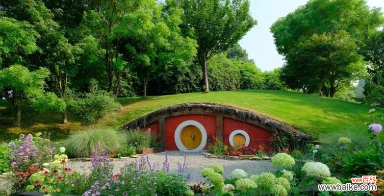 哪些花卉象征着威严?它们在园艺设计中如何应用?