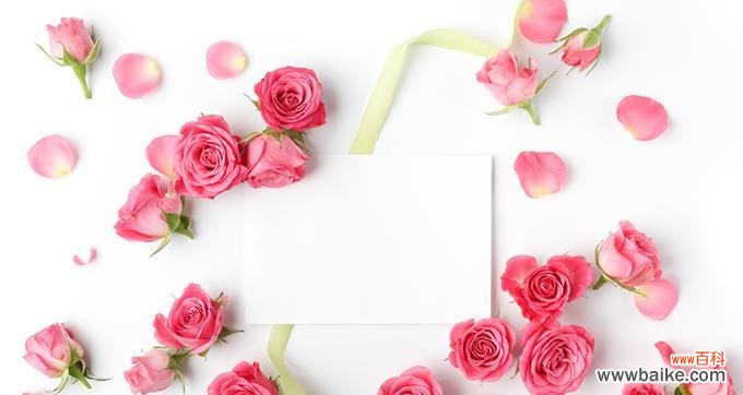 探秘这种神秘的植物 香水草的花语与文化背景