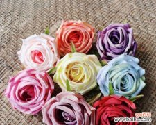 草帽上插满玫瑰花代表什么？它的含义是什么？