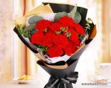 掌握花语，送花更得体！ 花语大全