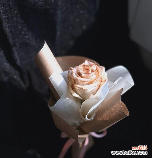 染色玫瑰花的寓意是什么？染色玫瑰花代表什么？