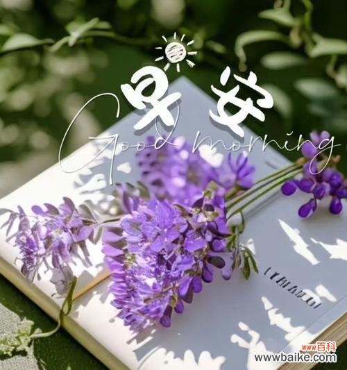 清晨送花有何寓意？送花的时间选择有何讲究？