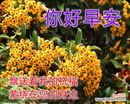 清晨送花有何寓意？送花的时间选择有何讲究？