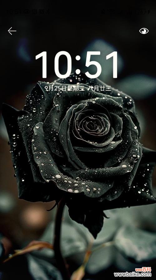 紫玫瑰传递了哪些情感？它适合在什么场合赠送？