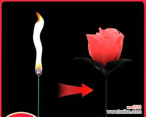 魔术玫瑰花作为礼物的含义是什么？代表了什么情感？