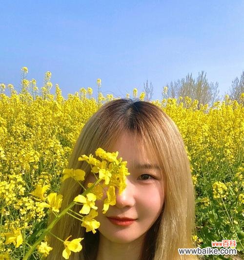 咀嚼历史，品味人文——油菜花花语的探究 油菜花的文化背景