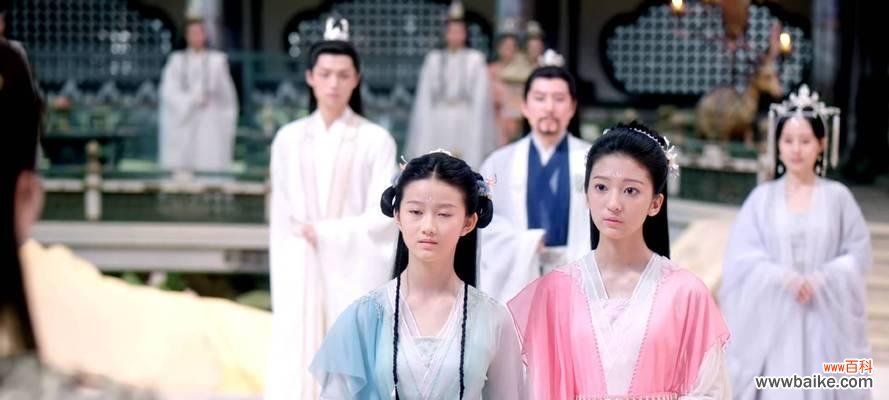 双生莲 双生莲的花语和寓意