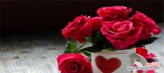 探索四朵玫瑰花的花语 四朵玫瑰花的花语之美