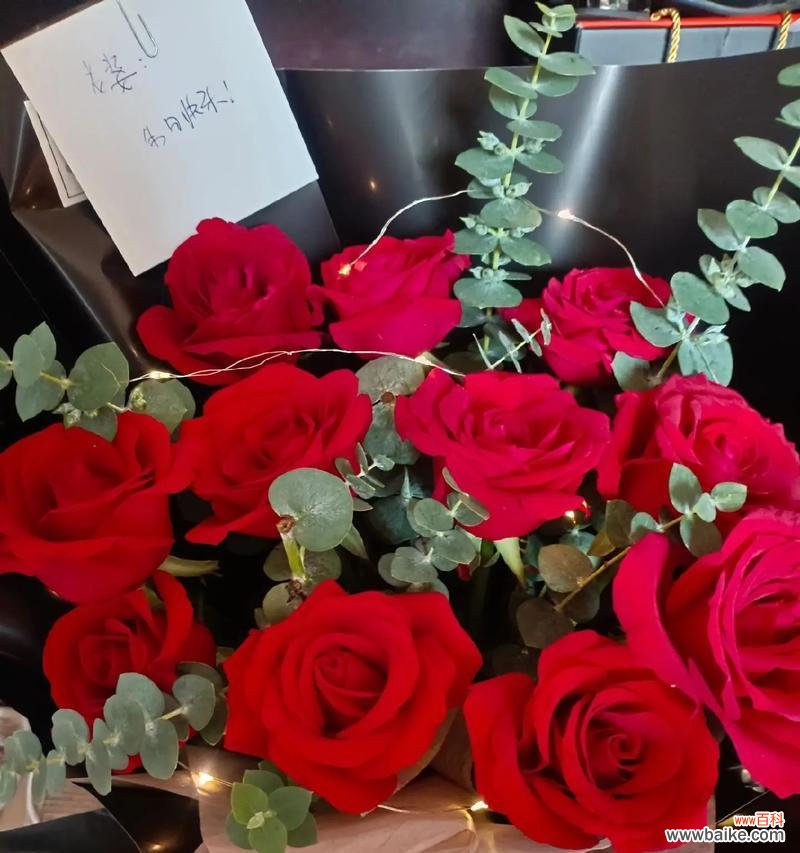 老公买了1支玫瑰花代表什么？一支玫瑰的特别含义是什么？