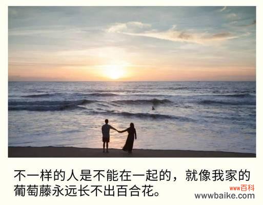 拒绝百合花有何含义？这种拒绝背后的心理是什么？