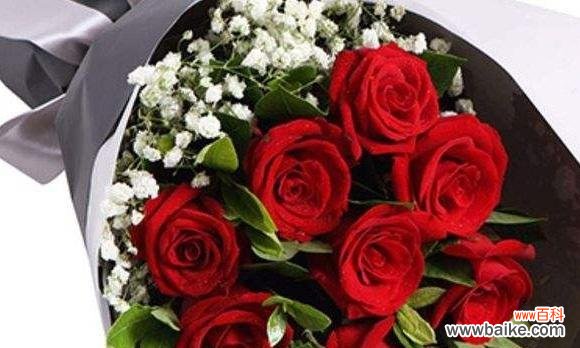 解读玫瑰花开的每一朵 玫瑰花的朵数寓意
