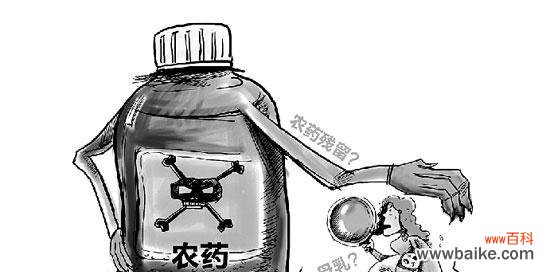 “不打农药”这一说法在农业中的含义是什么？