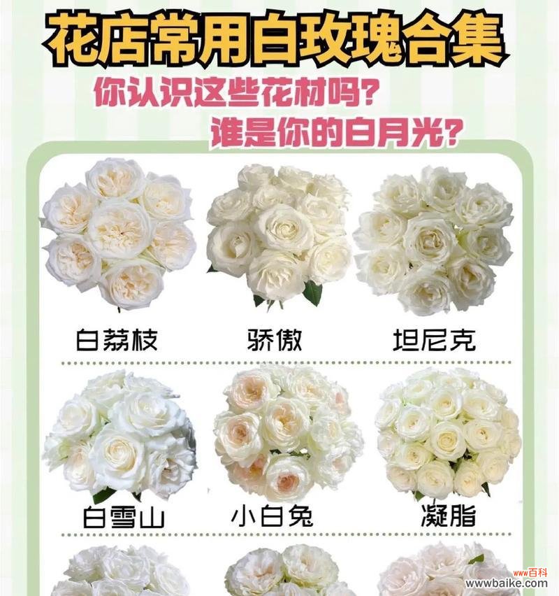 兰草花与白玫瑰的搭配含义是什么？不懂兰草花的花语解读？