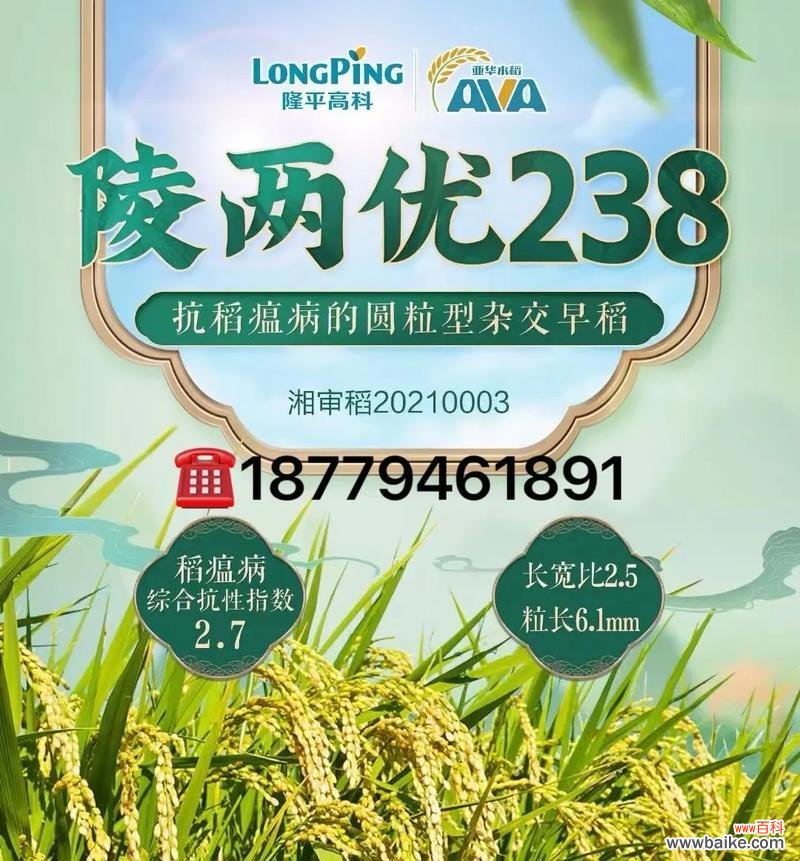 二系杂交水稻技术的含义是什么？