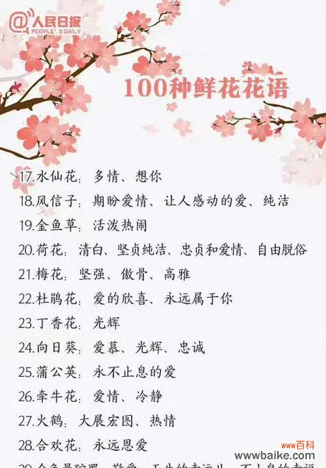 哪种花的花语是信任？它在送花时传达了怎样的情感？