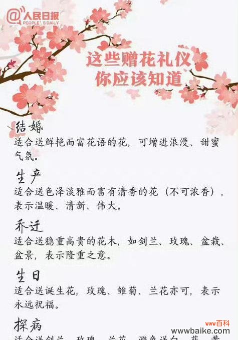 哪种花的花语是信任？它在送花时传达了怎样的情感？