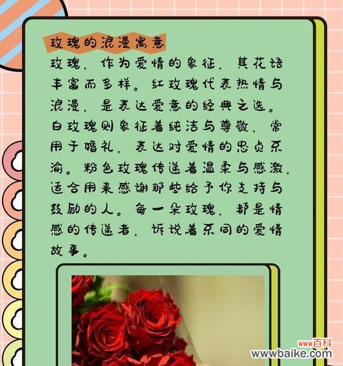 红玫瑰花传递给女生的特殊意义是什么？