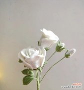 雪堆上白玫瑰代表什么？插一朵白玫瑰有何特殊意义？