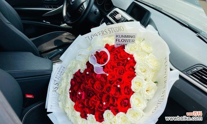 九朵红玫瑰搭配两朵白玫瑰的含义是什么？