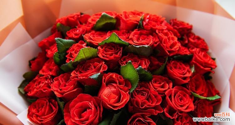 九朵红玫瑰搭配两朵白玫瑰的含义是什么？