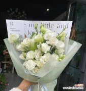 寄托着清新、纯洁和希望——白色洋桔梗的含义解析 白色洋桔梗的花语