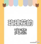 玫瑰花数量不同代表的含义是什么？