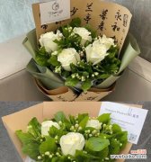 白玫瑰和茉莉花的花语是什么？它们各自代表了什么？