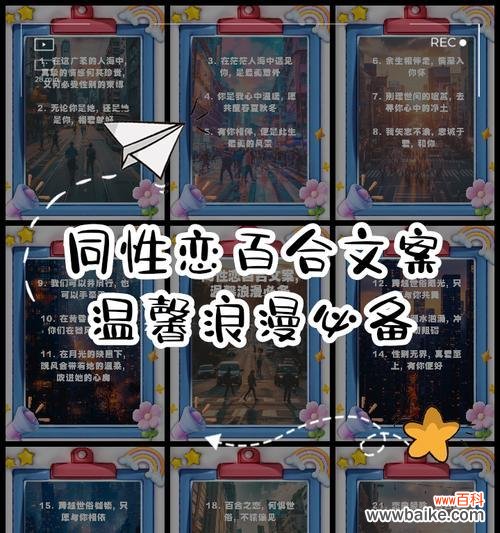 女生向男生赠送百合花的含义是什么？