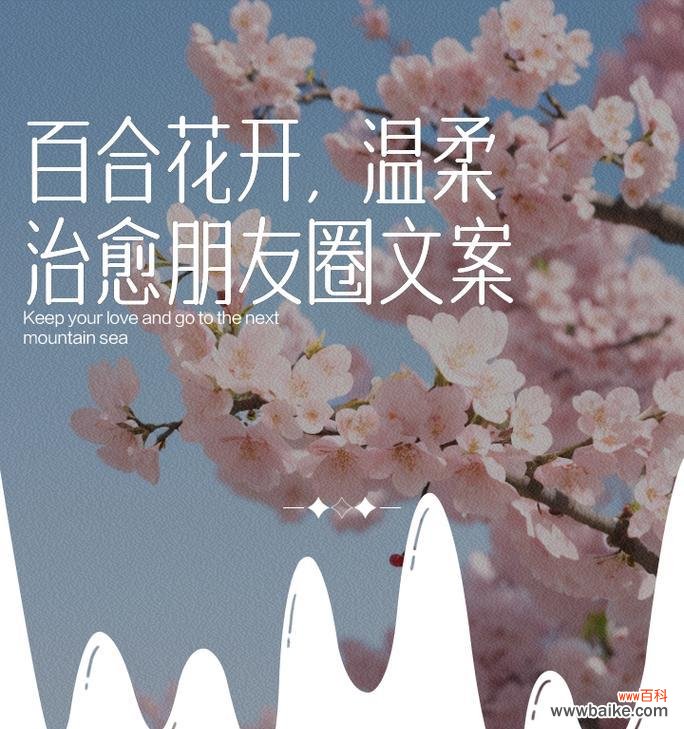 送百合花给朋友有何含义？