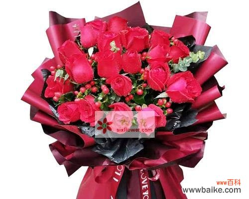解读红玫瑰的深刻内涵 解读红玫瑰的深刻内涵