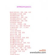 揭示仙人球的象征与寓意 仙人球花语