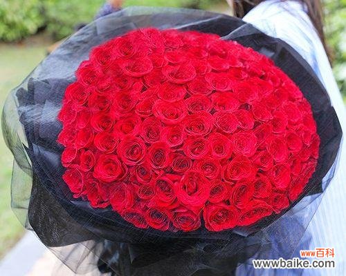 浪漫的表白之语 99朵玫瑰花的含义