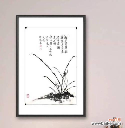 兰草象征着什么？