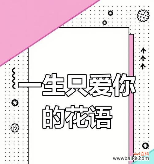 11朵粉玫瑰的花语是什么？